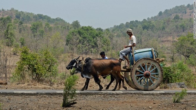 Khiep hon canh An Do “chim” trong nang nong 51 do C-Hinh-5